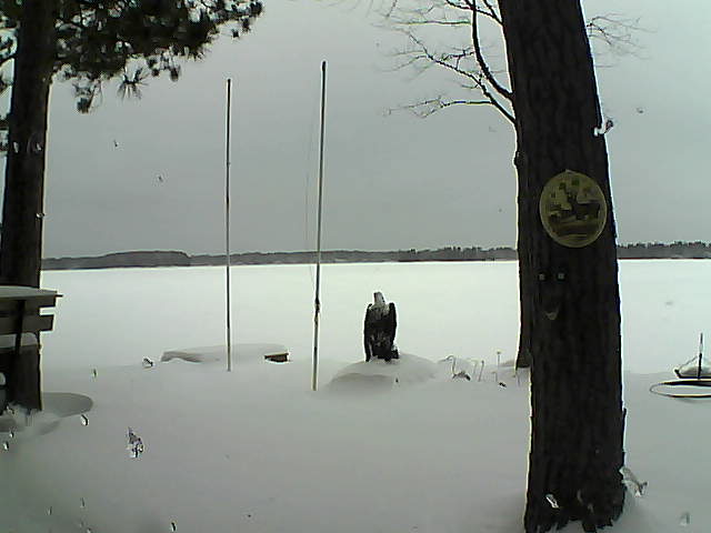 Whiteface Cam Image - Thu, 01/28/2016 9:04am 