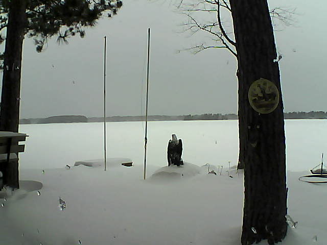 Whiteface Cam Image - Thu, 01/28/2016 9:24am 