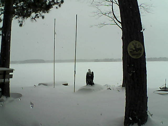 Whiteface Cam Image - Thu, 01/28/2016 9:44am 