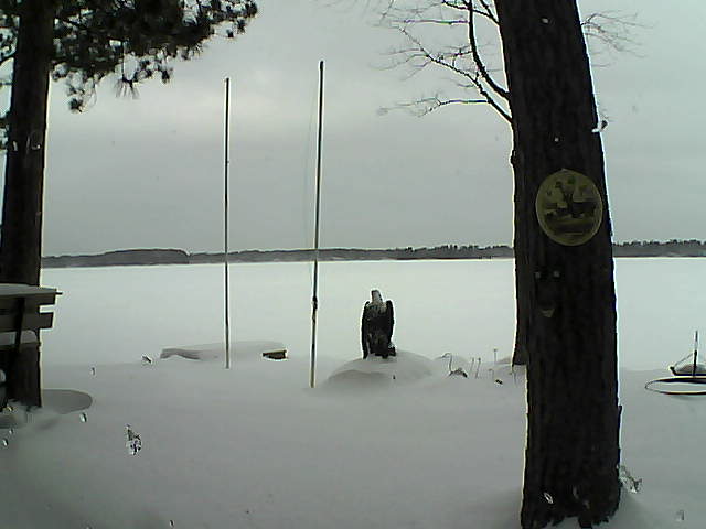 Whiteface Cam Image - Thu, 01/28/2016 10:04am 