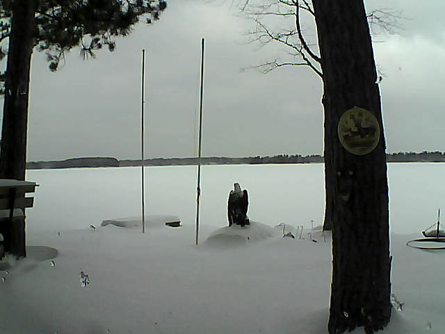 Whiteface Cam Image - Thu, 01/28/2016 10:24am 