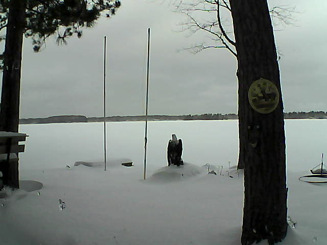 Whiteface Cam Image - Thu, 01/28/2016 10:44am 