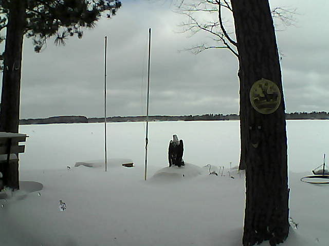 Whiteface Cam Image - Thu, 01/28/2016 11:04am 