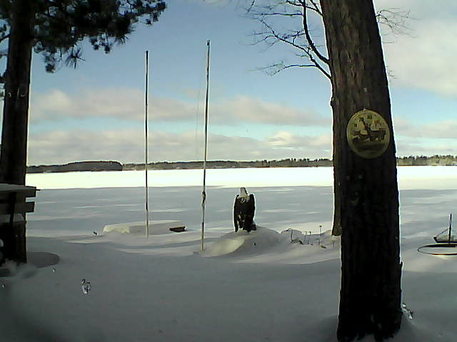 Whiteface Cam Image - Thu, 01/28/2016 11:44am 