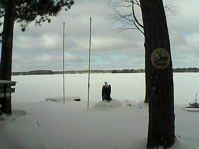 Whiteface Cam Image - Thu, 01/28/2016 12:04pm 