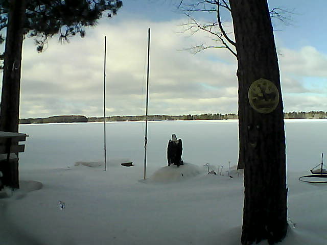 Whiteface Cam Image - Thu, 01/28/2016 12:44pm 