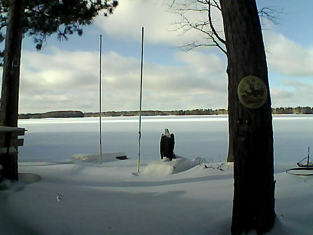 Whiteface Cam Image - Thu, 01/28/2016 1:24pm 