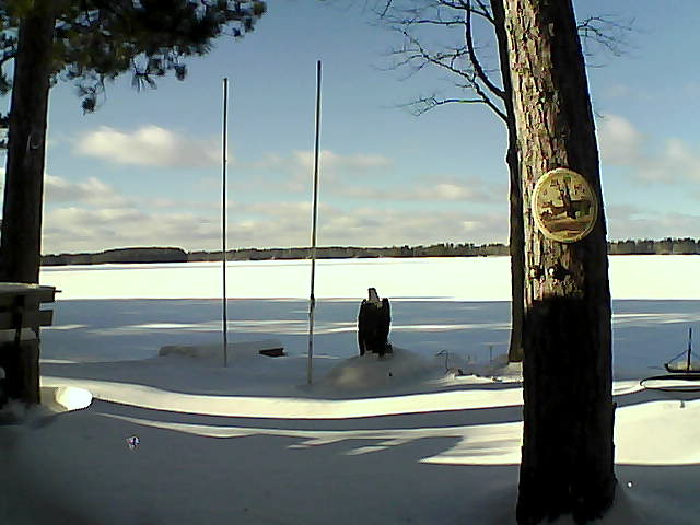 Whiteface Cam Image - Thu, 01/28/2016 2:04pm 