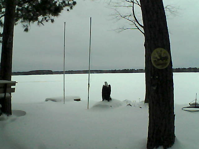 Whiteface Cam Image - Fri, 01/29/2016 7:23am 