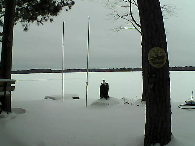 Whiteface Cam Image - Fri, 01/29/2016 7:43am 