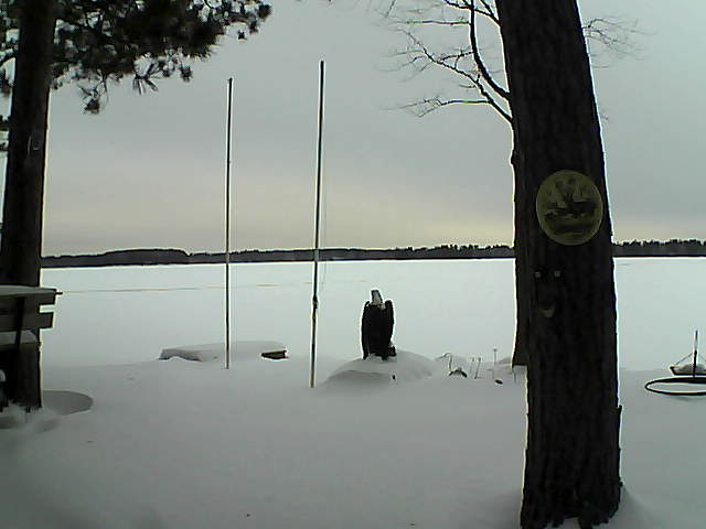 Whiteface Cam Image - Fri, 01/29/2016 8:03am 