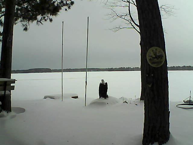 Whiteface Cam Image - Fri, 01/29/2016 8:23am 