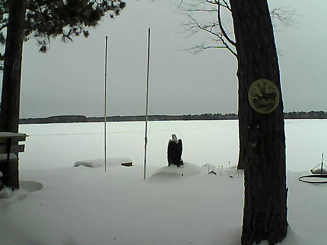 Whiteface Cam Image - Fri, 01/29/2016 8:43am 