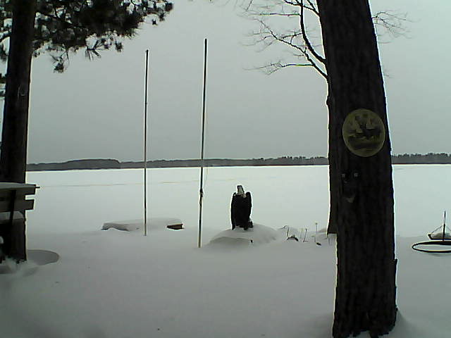 Whiteface Cam Image - Fri, 01/29/2016 9:04am 