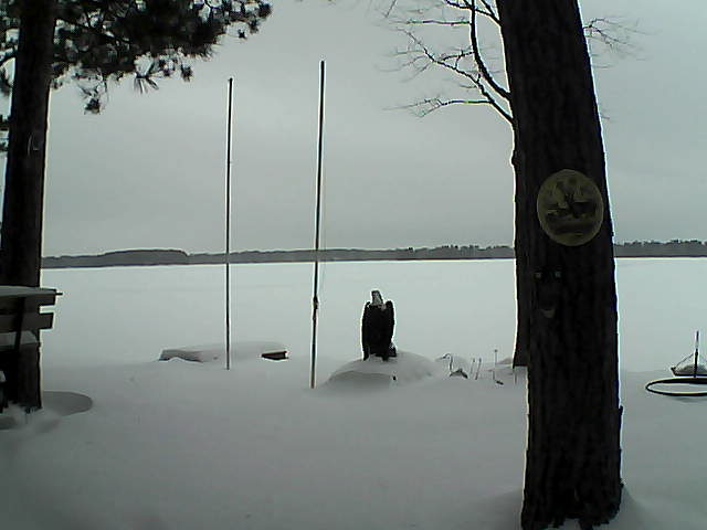 Whiteface Cam Image - Fri, 01/29/2016 10:04am 