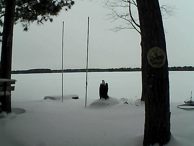 Whiteface Cam Image - Fri, 01/29/2016 10:24am 