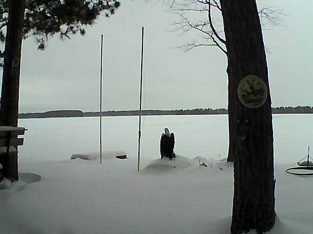 Whiteface Cam Image - Fri, 01/29/2016 10:44am 