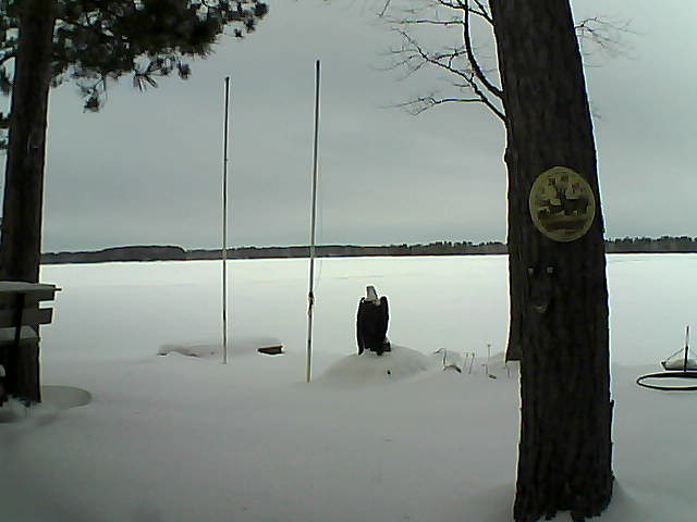 Whiteface Cam Image - Fri, 01/29/2016 11:04am 