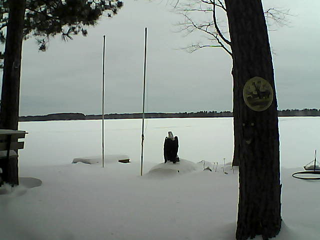 Whiteface Cam Image - Fri, 01/29/2016 11:24am 