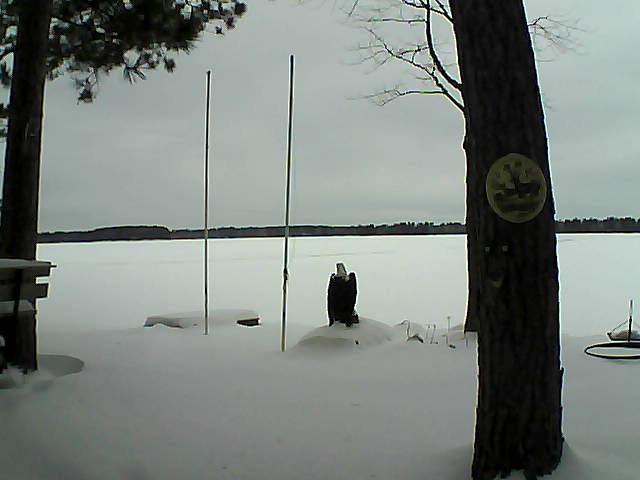 Whiteface Cam Image - Fri, 01/29/2016 11:44am 