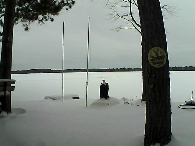 Whiteface Cam Image - Fri, 01/29/2016 12:04pm 