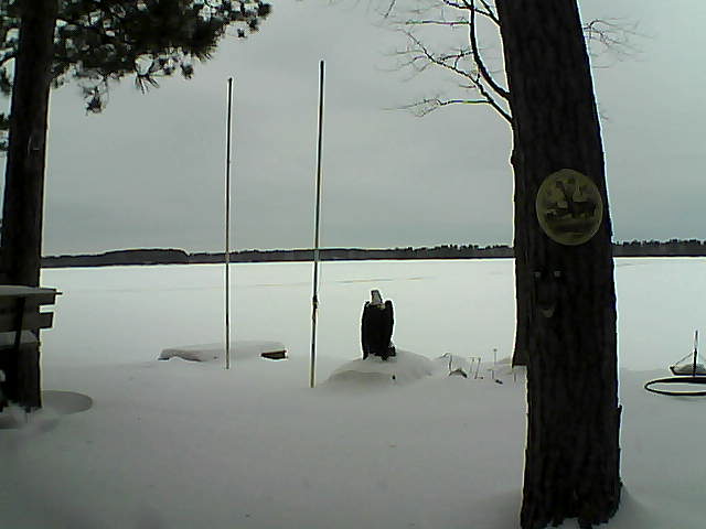 Whiteface Cam Image - Fri, 01/29/2016 12:24pm 