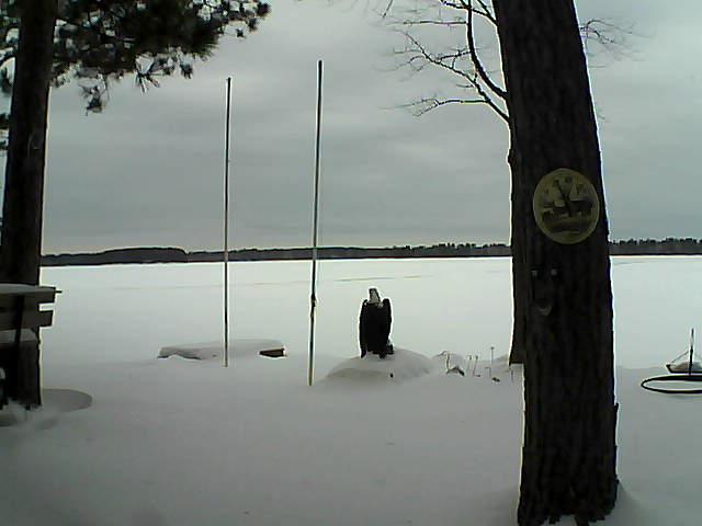 Whiteface Cam Image - Fri, 01/29/2016 12:44pm 