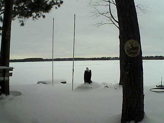 Whiteface Cam Image - Fri, 01/29/2016 1:04pm 