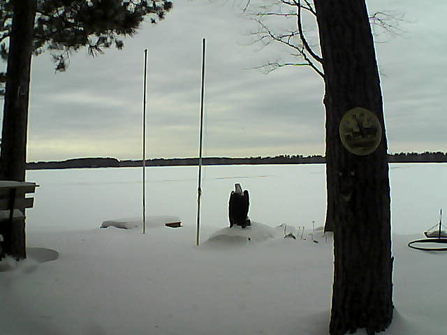 Whiteface Cam Image - Fri, 01/29/2016 1:24pm 