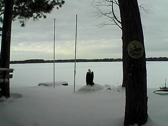 Whiteface Cam Image - Fri, 01/29/2016 1:44pm 