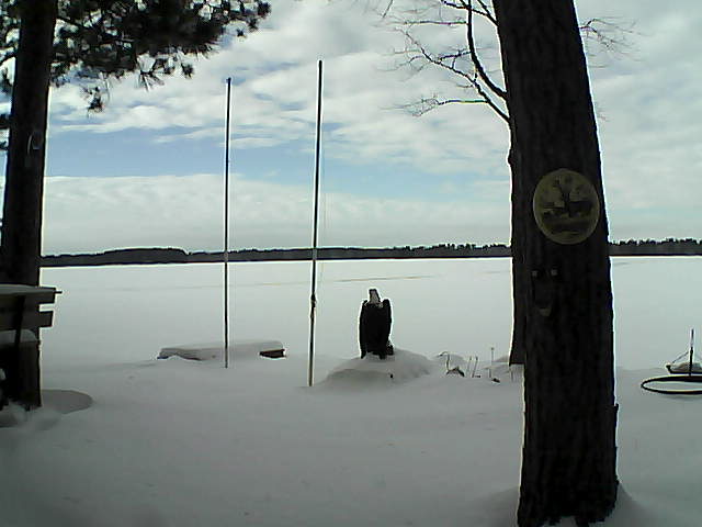 Whiteface Cam Image - Fri, 01/29/2016 2:04pm 