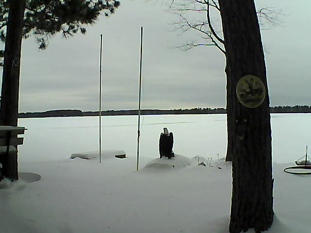 Whiteface Cam Image - Fri, 01/29/2016 2:44pm 