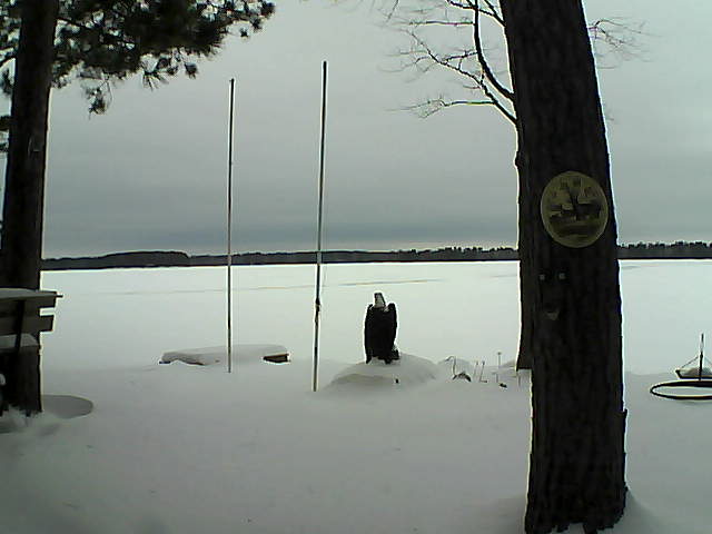 Whiteface Cam Image - Fri, 01/29/2016 3:04pm 