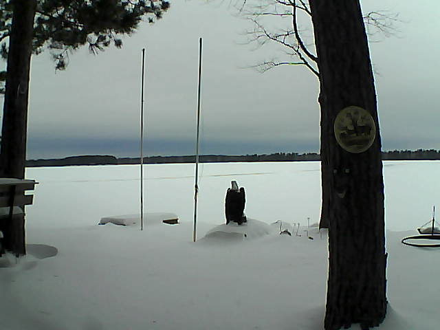 Whiteface Cam Image - Fri, 01/29/2016 3:24pm 