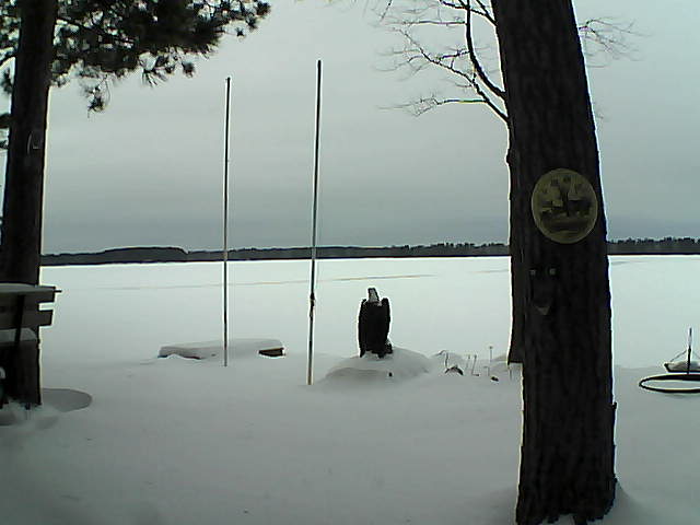 Whiteface Cam Image - Fri, 01/29/2016 3:44pm 