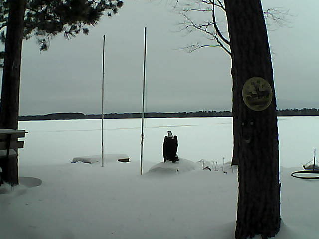 Whiteface Cam Image - Fri, 01/29/2016 4:04pm 