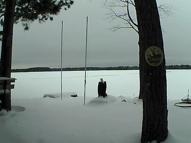 Whiteface Cam Image - Fri, 01/29/2016 4:24pm 