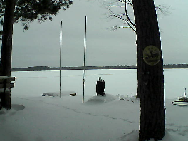 Whiteface Cam Image - Fri, 01/29/2016 4:44pm 