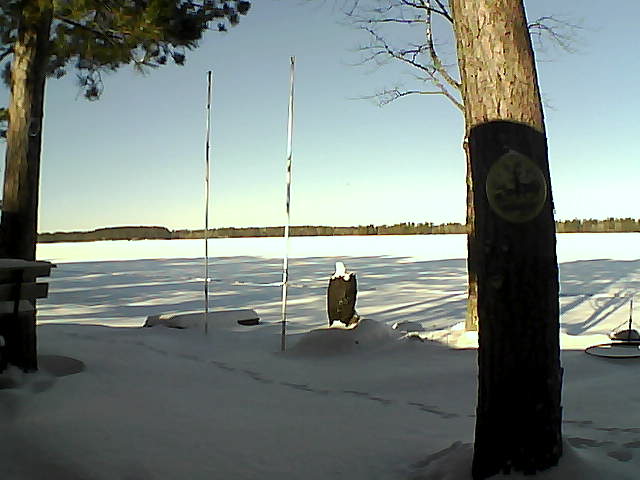 Whiteface Cam Image - Sat, 01/30/2016 10:23am 