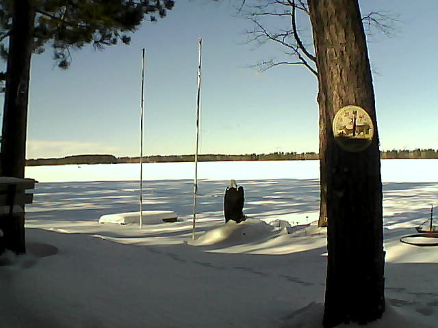Whiteface Cam Image - Sat, 01/30/2016 11:43am 