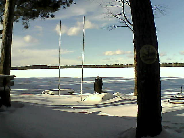 Whiteface Cam Image - Sat, 01/30/2016 1:03pm 