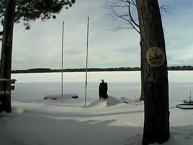 Whiteface Cam Image - Sat, 01/30/2016 1:43pm 