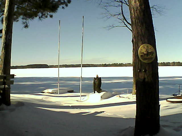 Whiteface Cam Image - Sun, 01/31/2016 1:24pm 