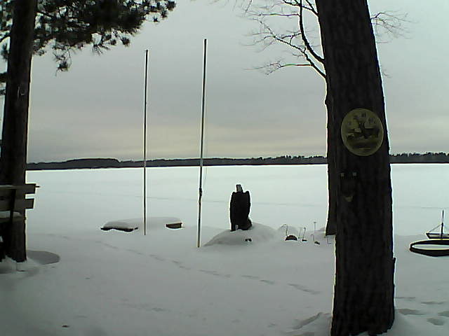 Whiteface Cam Image - Mon, 02/01/2016 8:24am 