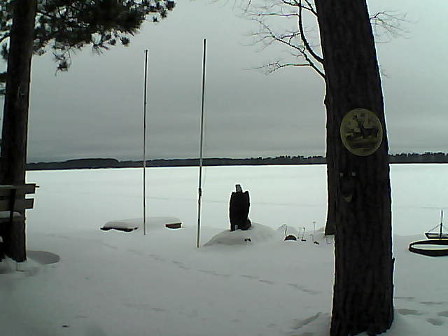 Whiteface Cam Image - Mon, 02/01/2016 9:24am 