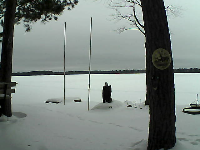 Whiteface Cam Image - Mon, 02/01/2016 10:24am 