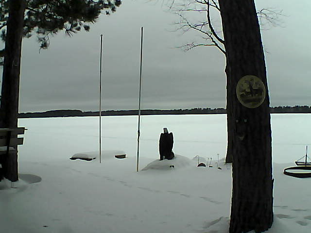 Whiteface Cam Image - Mon, 02/01/2016 2:24pm 