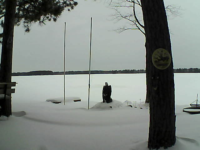 Whiteface Cam Image - Fri, 02/05/2016 8:43am 