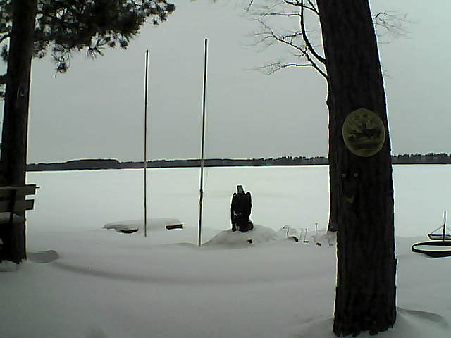 Whiteface Cam Image - Fri, 02/05/2016 9:03am 