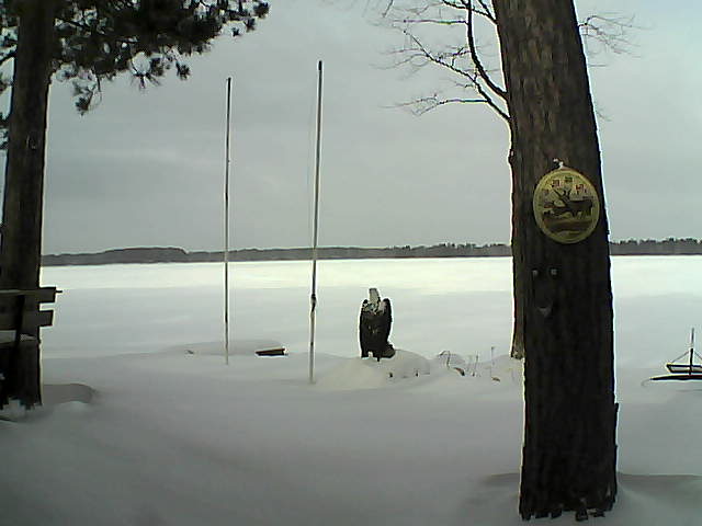 Whiteface Cam Image - Mon, 02/08/2016 10:43am 